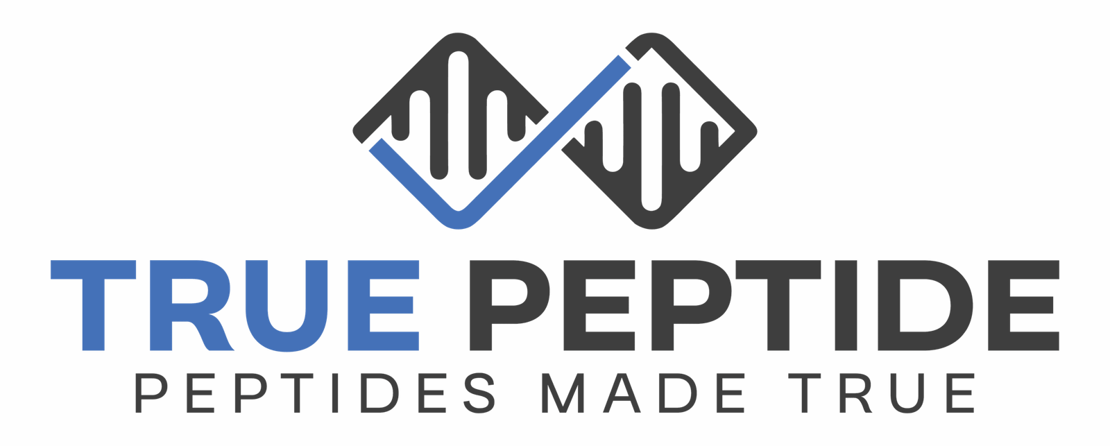 logo (6)